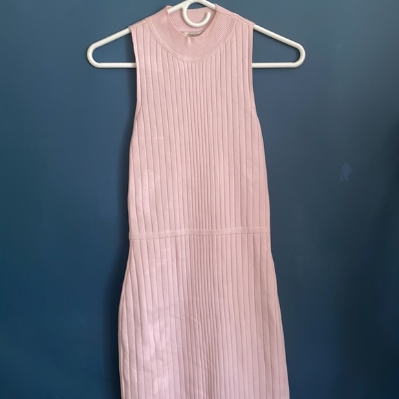 Light Pink Cushnie Et Ochs Laced-Back Sleeveless Dress - Picture 2 of 5